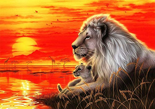 WOWDECOR DIY Malen nach Zahlen für Erwachsene Kinder Mädchen, König der Löwen Sonnenuntergang Meer 40x50cm Vorgedruckt Leinwand-Ölgemälde (mit Rahmen)