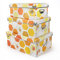 XUCHUN Plastic Decorative Storage Plastic Box with Lids for Closet,Foldable Storage Bins, 3 Pack/Set