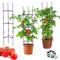 3 Pack 46.8'' Purple Adjustable Tomato Support Racks Gardening Support Plant Stand Climbing 6-claw Connecting Rrods Tie Wire Support for Climbing Plants Vegetables Flowers Fruits Vine