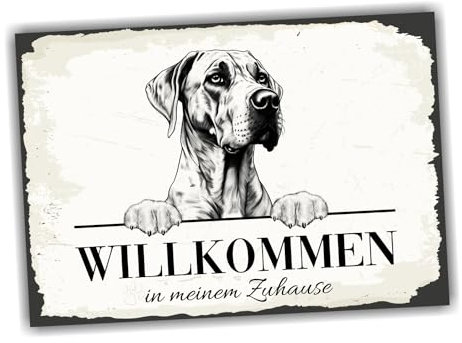 siviwonder Hundeschild Willkommen Zuhause Dogge deutsche No.2 Dog Schild Spruch Türschild Warnschild Geschenkidee schöner Spruch Hundemotiv Aluminium Wetterfestes Hundeschild