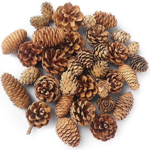 VGOODALL 40PCS Natural Pine Cones, Christmas Pinecones for Crafts Assortment Rustic Pine Cones for Decorating Christmas Wreath Tree Table Bowl Fillers