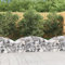 Homgoday Gabionenkorb mit Bogen, 150 x 50 x 40/60 cm, verzinktes Eisen, Gabionen für Steine, Gabionen, Blumenkästen