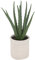 Atmosphera - Künstliche Aloe Vera - H29 cm - Beige