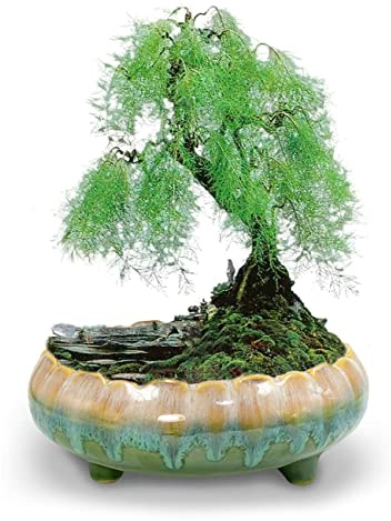 Dahlia 8.3'' Inch Large Shallow Drip Glazed Ceramic Planter/Succulent Pot/Plant Pot, Green