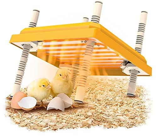 Farming Küken Wärmeplatte für 15 Küken, 10 * 10in Inkubator Wärmeplatte, Konstante Temperatur verstellbare Leise Stabil, Kükenwärmeplatte für Hühnergans Ente Taube Wachtel Vogel (Farbe)