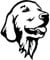 Autoaufkleber Golden Retriever Aufkleber 15cm(5.9 Inch) Golden Retriever Schwarz Aufkleber Haustier Hund Lustig Autoaufkleber Golden Retriever Car Sticker Stoßstange Autofenster Personalisieren Dekor