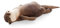 Federmäppchen Schüleretui Niedliche Otter Stiftemappe, 40cm Handballenauflage Otter Form zur Entlastung des Handgelenks Mit Federmäppchen, Otterkissen mit Versteckter Reißverschlusstasche