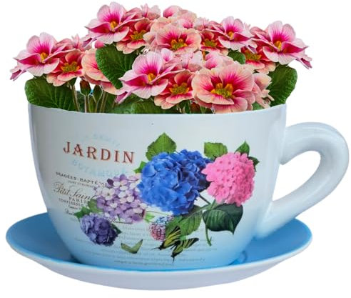 hadaaya 9” Ceramic Teacup Planter Succulent Pot with Drainage Hole & Saucer for Succulent Orchid Herbs Cactus Indoor Plants. Hand Painted Blue-Hydrangea Jardin Decal