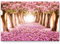Paul Sinus Art Leinwandbilder | Bilder Leinwand 120x80cm Allee aus rosa Blüten