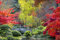 Muralo Fototapete Natur 150 x 225 cm Vlies Tapete Wandtapeten Holzbrücke Fluss Japanischer Garten Bäume Bunt Wohnzimmer Schlafzimmer Moderne Wandbilder XXL Landschaft Panorama Wand Dekoration