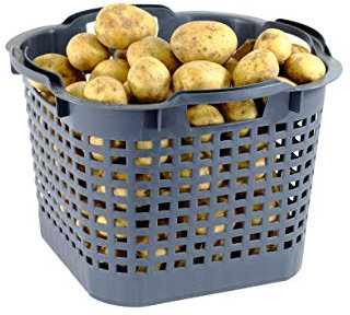 GreenLife Kartoffelkorb Gemüsekorb 25L 10 St. grau Made in Germany, robust, stapelbar, langlebiger Kunststoff