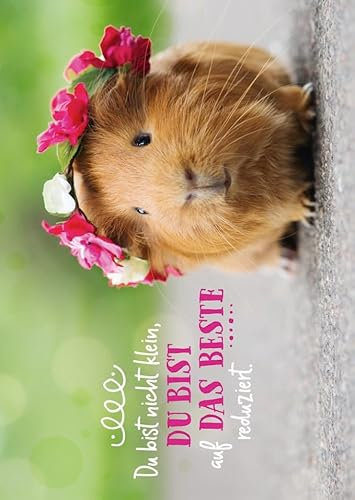Gutsch Verlag Freundschafts-Postkarte mit Meerschweinchen & Blumen - Niedlicher Tiergruß mit Spruch, Humorvolles Geschenk für Optimismus