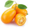 Neu Frische 100 stücke Kumquat Fruchtsamen gelb
