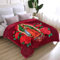 JYK Koreanische Nerz-Fleecedecke, Kingsize, 200 x 220 cm, 2,6 kg, 2-lagig, wendbar, seidig, weicher Plüsch, warm, dick, schwer, bequeme Flanelldecke für Herbst und Winter, Rosen/Jungfrau Maria