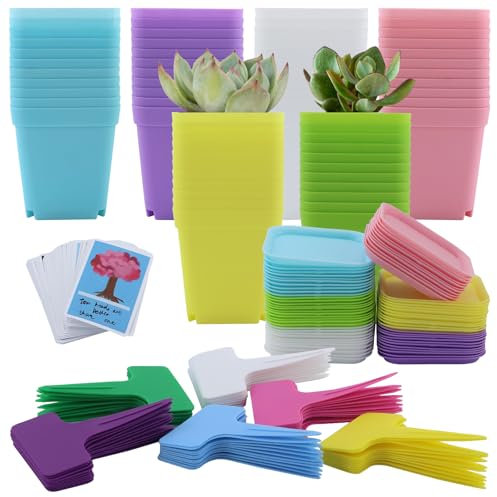 JRSHIRLEYLTD 66 vasi da coltivazione, 7 cm, con sottovaso, piccoli vasi di fiori, in plastica, mini vasi per semi, piante grasse