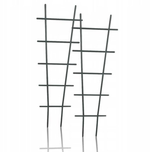 B2C Plant climbing Trellis flower support vertical cage Pot Frame Lattice set of 2 Home Garden Growing (Black, 185mm x 560mm)