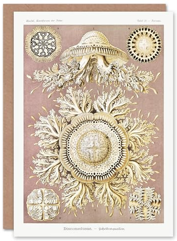 Artery8 Ernst Haeckel Art Card Jellyfish Discomedusae Vintage Illustration