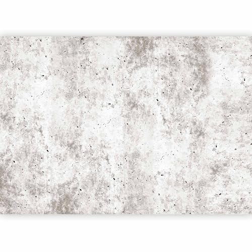 murando Fotomurales autoadhesivo Beton Optica 343x256 cm Papel Pintado | Decoración de Pared Murales Pegatina decorativos adhesivos 3d moderna de Diseno Fotográfico moderno