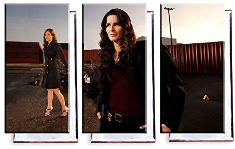 Unified Distribution Rizzoli & Isles - Dreiteiler (120x80 cm) Kunstdruck auf Leinwand • erstklassige Druckqualität • Dekoration • Wandbild