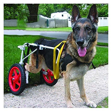 Mobility Walker, Rollstuhl für große Hunde – Aufrüstbarer Haustierwagen für die Hinterbeine, Help Em Up-Geschirr für die Rehabilitation der Hinterbeine, Walkin Wheels-Hunderollstuh