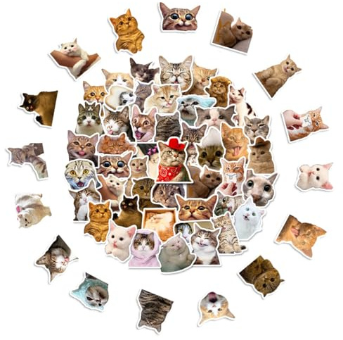 YAZWUR 100 Stück Katzen Aufkleber Meme Süße Wasserdicht PVC Ästhetisch für Katzenliebhaber Wasserflaschen Koffer Notebook Telefon (Lustiges Katzenform)