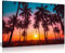 Coconut Palm Trees On Beach At Sunset Canvas Wall Art Picture Print (24x16)