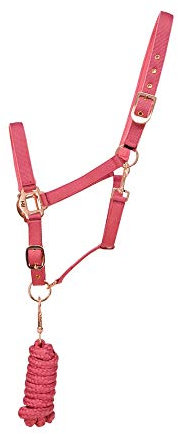 H&Y Hy Rose Gold Lead Rope & Head Collar Full Size Blush Pink Rose Gold