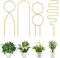 ACTIMED 4 pezzi per piante rampicanti da interno, supporto piante, griglia in metallo per piante rampicanti, supporto per piante in vaso, un grande regalo per gli amanti del giardino（Oro）