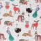 STAR Geschenkpapier 70cm x 2m Rolle Weihnachtspapier Kinder (Zoo Tiere)