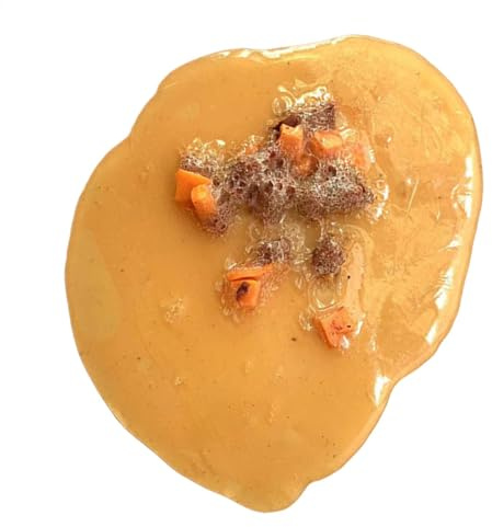 Mock Throw Up Toy - Kunstfestes Stück, Knebel Barf Prop | Halloween -Event -Streich, Authentisches Falsches Kotze, Gruseliger Event -Trick, Unterrichtsausstellungswerkzeug, Realistische Barfungsarbeit