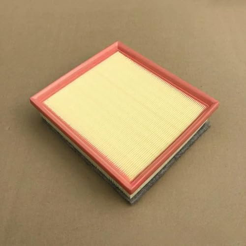 Filtro Aria Auto 13718511668 per BMW F20 F21 F22 F30 F31 F32 F34 F36 114d 116 118d 218d 316d 320d 325d 328d 420 425d Diesel Engine