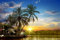 VLIES Fototapete-SÜDSEE-250x186 cm-(PF1301)-Palmen Strand Meer Urlaub Reise Karibik Tropen Mediterran Wandbild Wandtattoo Poster Dekoration