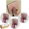 Belim's Crochet Adhésif Mural Rose Gold Accroche Serviette Salle De Bain Porte WC Patere Adhésive Cuisine Porte Torchon Auto-adhésif Puissant Support Autocollant Attache Sans Percer