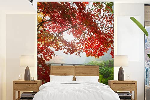 MuchoWow Papier peint Érable du Japon - Arbres - Pont - Nature - Japonais Papier peint photo 165x220 cm Papier peint imprimé