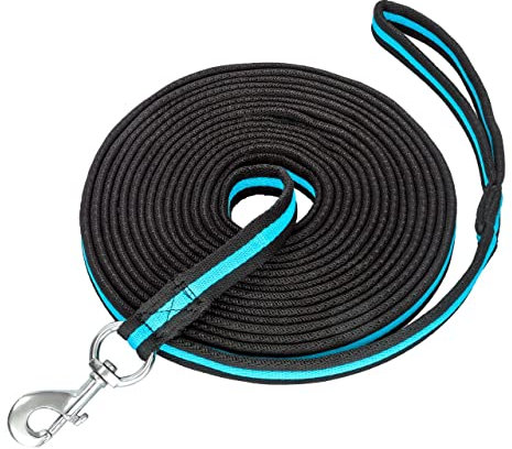 Start Longierleine für Reitsport – Pferdelonge 8 m aus Nylon – Softlonge mit Handschlaufe & Karabiner – rutschfeste Longe für Pferd – Robuste Longierleine für Training (Schwarz/Petrol)