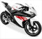 DualColorStampe Aufkleber kompatibel mit Yamaha YZF-R125 R125 (DX-SX) Carena Motorrad Decal Sticker Design Kratzer M0127 (Rot)