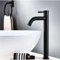 Robinet Lavabo Eau Froide, Mitigeur Haut 29cm en Acier Inoxydable, Flexible de 60 cm inclus, Style Moderne, Lave main, lavabo WC (Noir)