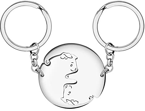 DALANE Valentines Edelstahl Niedlich Paare Schwein Schlüsselanhänger Bauernhof Tiere Schmuck Schwein Geschenke für Frauen Mädchen Handtasche Schlüsselring (Versilbert+Versilbert A)