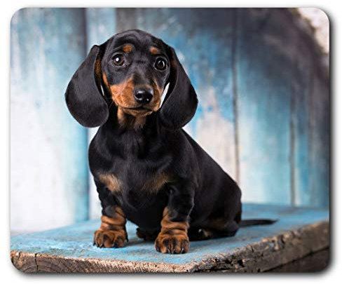 Destination Vinyl Ltd Sausage Dog Dachshund Puppy Mouse Mat Pad Computer PC Laptop Gaming Office Home Desk Accessory Gadget 16342
