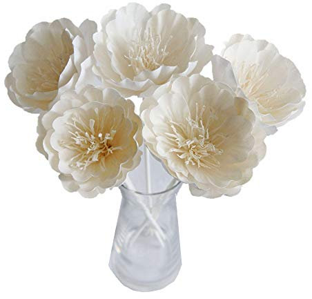 Schilfdiffusor 5 Pfingstrose Bu Te 7,6 cm, gemischte Sola-Blume mit Schilfrohr-Diffusor für Zuhause von Plawanature.