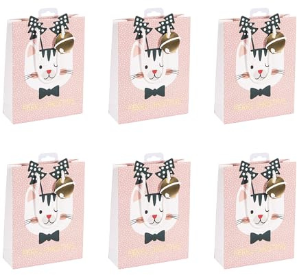 Clairefontaine X-29529-2Cpack 6 Geschenktasche Excellia 26,5x14x33cm CatMas