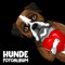 Hunde Fotoalbum: Hunde Album | Erinnerungsalbum | Hundealbum zum Festhalten schöner Momente mit deinem Hund | Boxer Hund