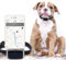 Mini GPS Tracker impermeable para perros, gatos y todas las mascotas, sistema de localización con alarmas y micrófono para escucha a distancia (G12P)
