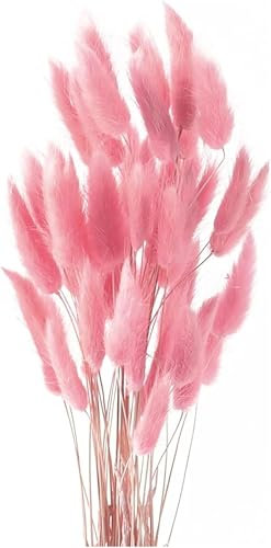 50PCS Pampasgras Trockenblumen, 45 cm Natürliche Lagurus Getrocknet Blumen Getrocknetes Schilfgras Getrocknetes Pampasgras für Hochzeit Hause Party Wedding Büro Fotografie Vase Deko (Rose)