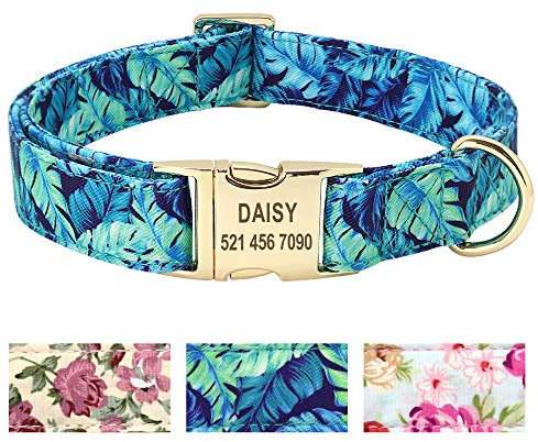 Beirui Collar para Perro con diseño Floral, Personalizable con Placa de Nombre grabada, Collar Perro Personalizado Premium con Hebilla de Acero Inoxidable, Flor Azul Collar Perro, M(12-19.5)