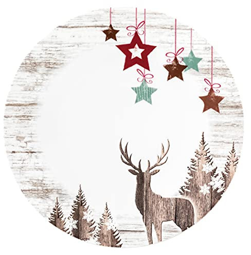 Seltmann Weiden 2 x Speiseteller rund 28 cm Life Christmas