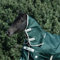 Bucas Greenline Neck 50g