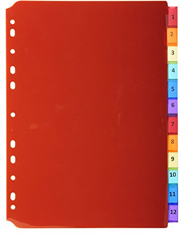 Exacompta 3912E Premium-Register für DIN A4 aus langlebigem Kunststoff 12-teilig volle Höhe 21 x 29,7 cm vollfarbig 2 x 6 Farben mit Etikettenbogen zum Beschriften Trennblätter