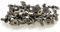 OPYTR Dübel DIN 7991 Titan-Schrauben M3x4 M3x5 M3x6 M3x7 M3x8 M3x10 M3x12 M3x14 Flachkopf Hex 2.0 Treiber Ti GR2 poliert 10 Stück Anker (Length : 8mm, Größe : M3)