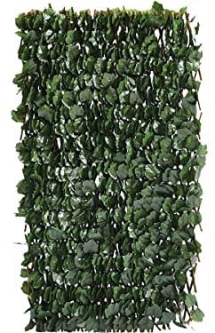 Habitat et Jardin Clôture en Treillis de Saule Fragon - 200 x 100 cm - Vert